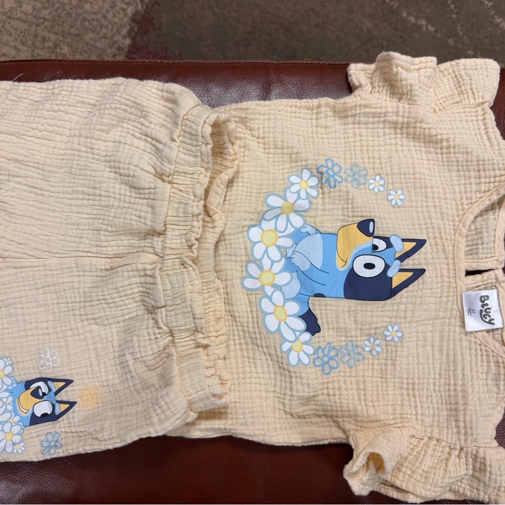 Bluey Floral Graphic Girls Toddler Short Set
